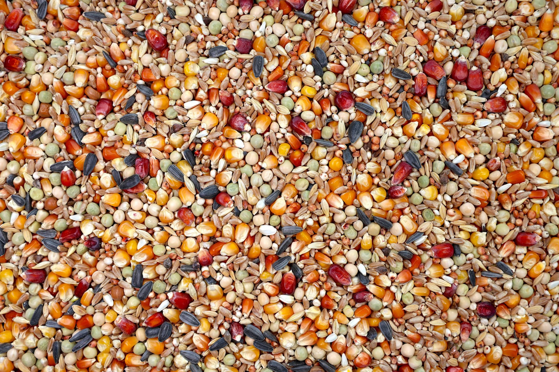 Moulting magkeverék